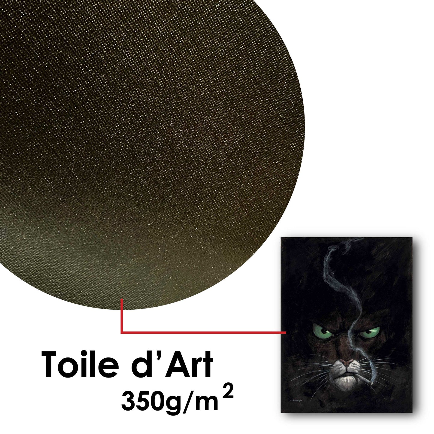 Tableau Blacksad 1 fume